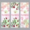 Herbal tea collection. Cranberry banner set.