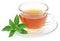 Herbal tea in a cup with stevia leaves