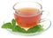 Herbal tea in a cup with tulsi leaves