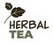 Herbal tea, emblem or logotype for package vector