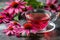 Herbal tea in glass cup with echinacea flowers on rustic wooden table