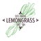 Herbal tea ingredient, lemongrass isolated icon with lettering