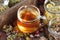 Herbal tea and jars with dry homeopathic herbs: chamomile, linden, calendula, burdock, rosehips and flowers,