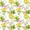 Herbal tea. Seamless pattern: herbs chamomile, mint, teapot, teacup. Watercolor