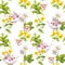 Herbal tea. Seamless pattern: herbs chamomile, mint, teapot, teacup. Watercolor