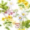 Herbal tea. Seamless pattern: herbs chamomile, mint, teapot, teacup. Watercolor