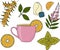 Herbal tea set. Herbal tea cup, plants and fruits raster Illustration