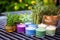 herbal tea sets and candles on outdoor spa terrace