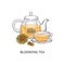 Herbal tea types concept blooming tea sketch vector illustration isolated.