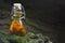 Herbal tincture bio eco organic. Bottle, glass.