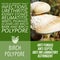 herbalist advise in natural remedies of Birch polypore benefits