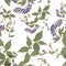 Herbarium, dried flowers on a white background. Seamless pattern