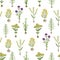 Herbarium flowers with roots, seamless pattern