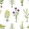 Herbarium flowers with roots, seamless pattern