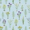 Herbarium flowers with roots, seamless pattern