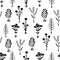 Herbarium flowers with roots, seamless pattern