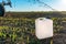 Herbicide canister can in corn field