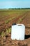 Herbicide canister can in corn field