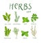 Herbs