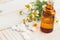 Herbs and bottle with medicines. Concept homeopathy.