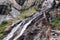 Herbs on brown karst granite rocks washed by the foamy waters of an alpine waterfall, Cogne, Aosta valley, Italy