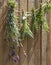 Herbs drying in front of a rustic wooden background