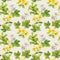 Herbs, flowers: camomile, hypericum. Herbal seamless print. Floral watercolor