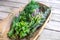 Herbs fresh from kitchen garden in harvest basket: chives, mint, thyme, rosemary, dill, sage with edible purple flowers