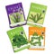 Herbs seed packets