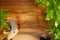 Herbs selection. Aromatic ingredients on wood table with copyspace