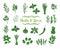 Herbs and spices glyph icons