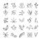Herbs and spices isolated outline icons, seasonings and medicament