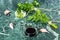 Herbs and spices on marble stone table top view. Parsley, dill, garlic, olive oil, soy sauce and pepper