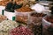 Herbs and spices market. Traditional souk