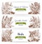 Herbs and spices organic plant sketch banner set