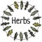 Herbs text in dried herbs on a thread circle ornamental wreath. Flat vector style image