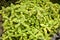Herbs used in the kitchen: Sage Salvia officinalis aurea