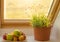 Herbs on window sill