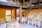 Herculaneum, ancient Roman town. Warehouse in wine store with amphoras, Ercolano, Italy