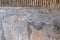 Herculaneum, Italy. Close up of wall showing detail, in the ruins of the Roman town of Herculaneum / Ercolano near Naples, Italy.