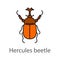 Hercules beetle color icon