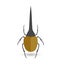Hercules Beetle Insect Vector