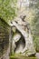 Hercules sculpture, statue in famous park of the monsters in Bomarzo Italy