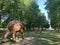 A herd of 100 elephant sculptures have taken up space in Londonâ€™s Royal Parks