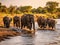 A herd of African elephants