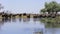 Herd of African elephants drinking from river