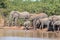 Herd of African Elephants in the Sable Dam