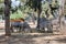 A herd of african zebras and antelopes graze