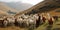 A herd of alpacas grazing on a mountainside, concept of Farming practices, created with Generative AI technology