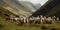 A herd of alpacas grazing on a mountainside, concept of Farming practices, created with Generative AI technology